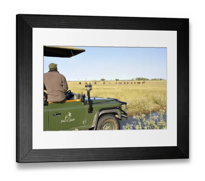 Framed Print : On safari with a 4x4 Landrover in the Okavango Delta swamps