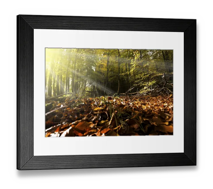Framed Print : Autumn, deciduous forests near Diez Framed Print : Autumn, deciduous forests near Diez