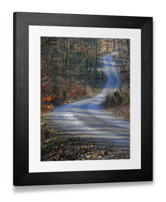 Framed Print : Deciduous forest in winter, forest path Framed Print : Deciduous forest in winter, forest path