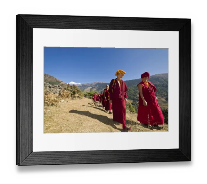 Framed Print : Monks and nuns wearing red cloths walking on a small path along a mountain slope