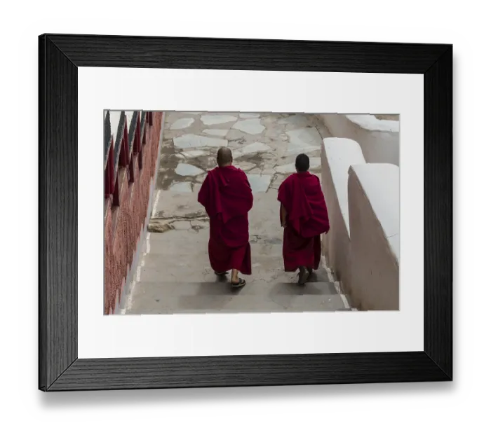Framed Print : Two monks walking down some stairs in Thiksey Gompa monastery
