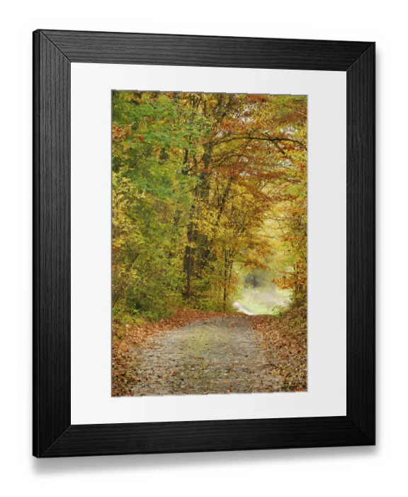 Framed Print : Old cobbled street in an autumn forest near Eberswalde