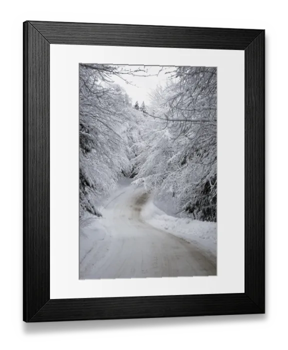 Framed Print : Snowy road, trees, winter, Canada Framed Print : Snowy road, trees, winter, Canada