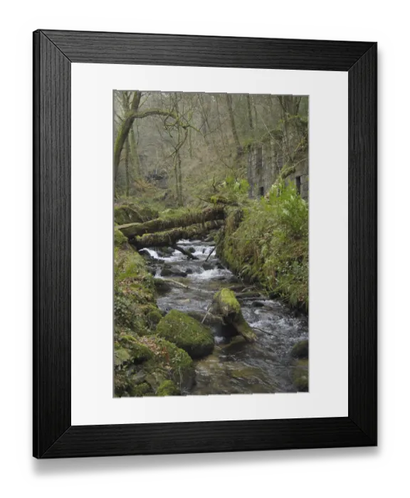 Framed Print : View of river flowing through deciduous woodland habitat