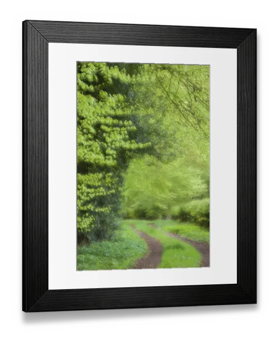 Framed Print : Beech forest, Ahlhorn Forestry Office Framed Print : Beech forest, Ahlhorn Forestry Office