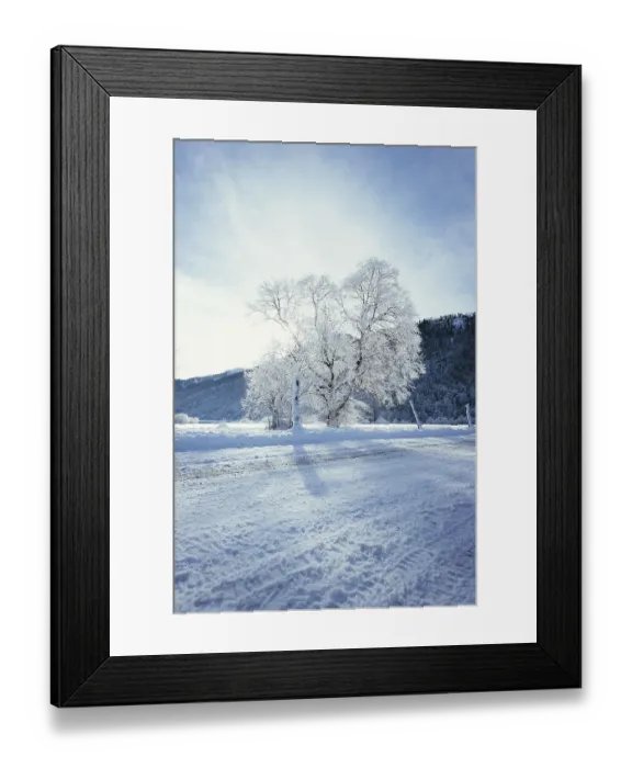 Framed Print : Idyllic winter landscape: snowy trees and fields Framed Print : Idyllic winter landscape: snowy trees and fields