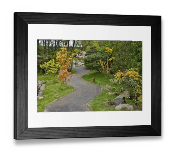 Framed Print : Japanese Garden, Trige, Central Jutland Framed Print : Japanese Garden, Trige, Central Jutland
