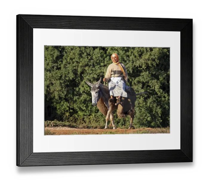 Framed Print : Donkey, adult, carrying load and woman rider Framed Print : Donkey, adult, carrying load and woman rider