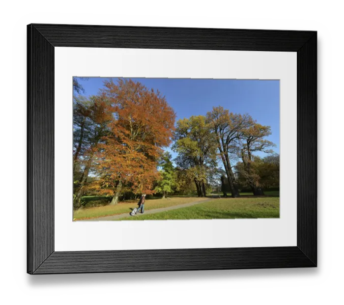 Framed Print : Palace gardens, Buch, Berlin, Germany