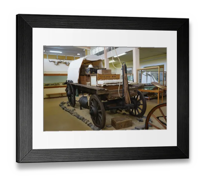 Framed Print : Ox cart, Swakopmund Museum, Swakopmund