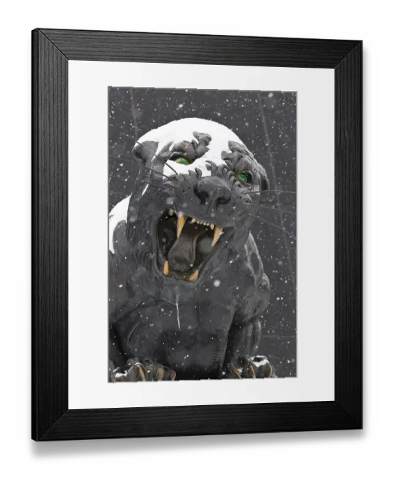 Framed Print : Bank of America Stadium in uptown Charlotte