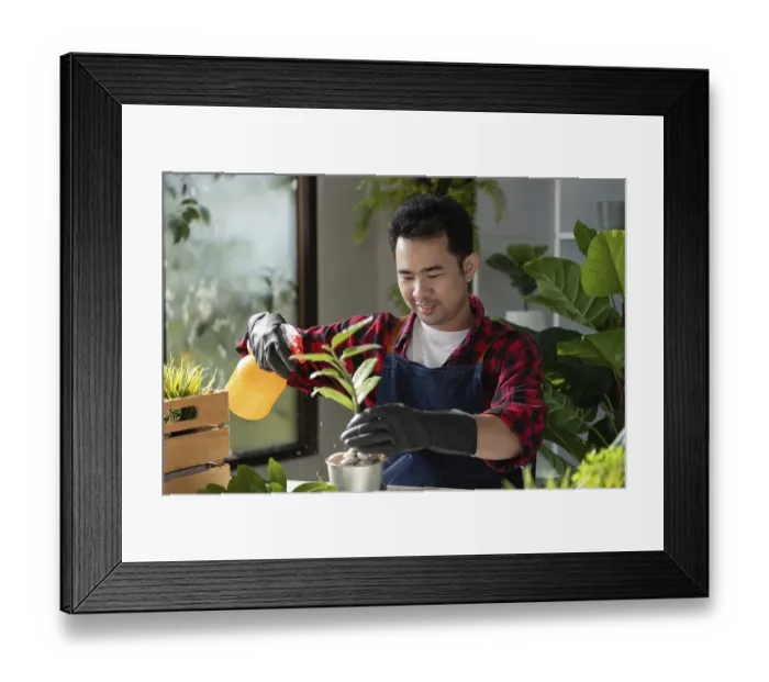 Framed Print : Asian gardener in a denim apron Framed Print : Asian gardener in a denim apron