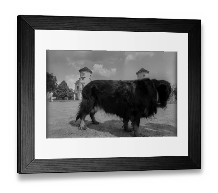 Framed Print : Germany, Rheinsberg, 30.05.1992 Framed Print : Germany, Rheinsberg, 30.05.1992