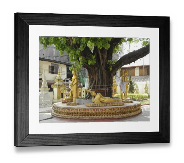 Framed Print : Old tree with Buddha statue, Wat Hai Sok temple