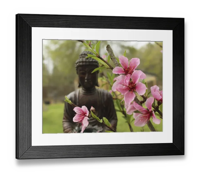 Framed Print : Pink Peach Blossoms mit Buddha Statue im Hintergrund Framed Print : Pink Peach Blossoms mit Buddha Statue im Hintergrund