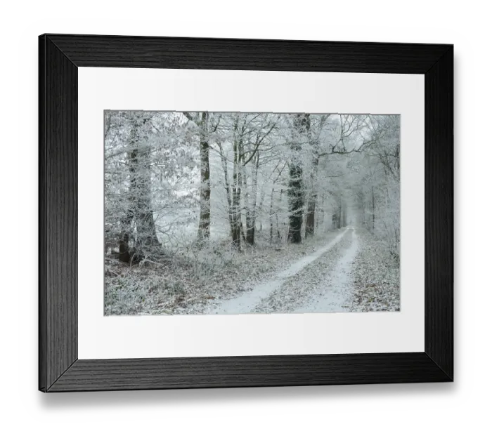 Framed Print : Bakum, Gut Daren, Vechta, Lower Saxony, Germany Framed Print : Bakum, Gut Daren, Vechta, Lower Saxony, Germany