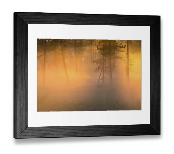 Framed Print : Evening fog in Stubba Nature Reserve