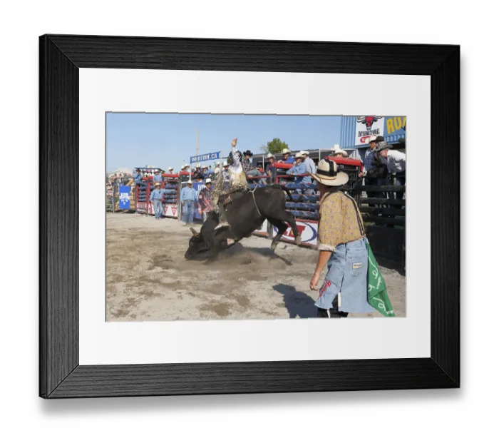 Framed Print : Rodeo competition, bull riders
