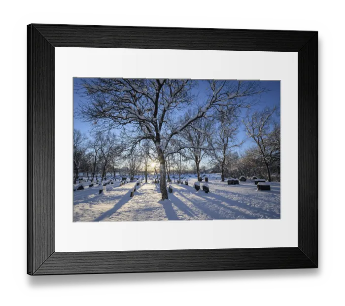 Framed Print : Sun shining through the branches of a tree in a snowy cemetery with many gravestones