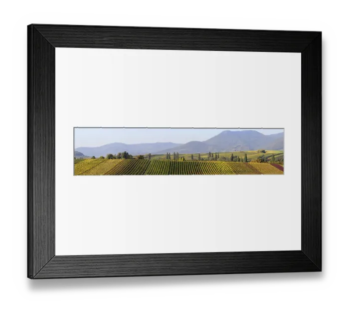 Framed Print : Sewn Panorama Framed Print : Sewn Panorama