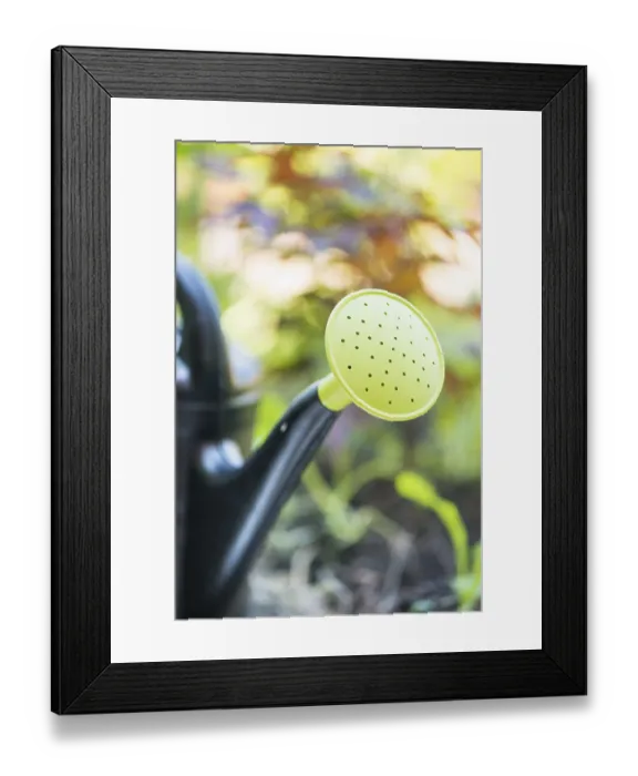 Framed Print : Closeup of a plastic watering can with sprinkler head