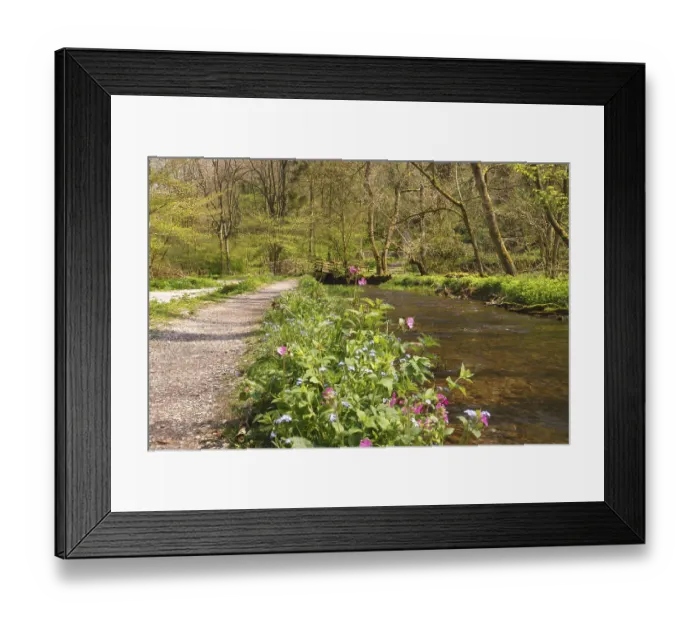 Framed Print : Lathkill Dale, Peak District National Park Framed Print : Lathkill Dale, Peak District National Park