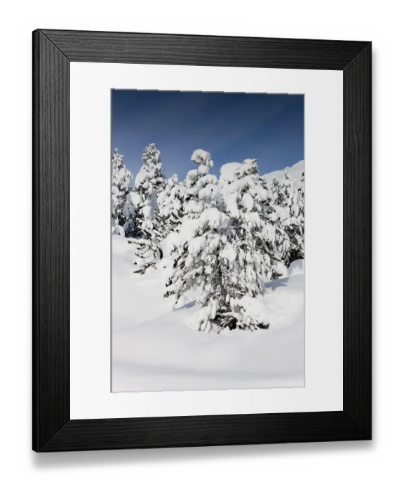 Framed Print : Winter landscape, Ofen Pass, Swiss National Park