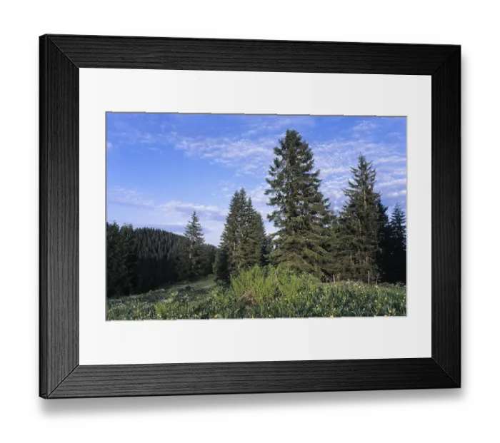 Framed Print : Alpine pasture in summertime, Rofan Range