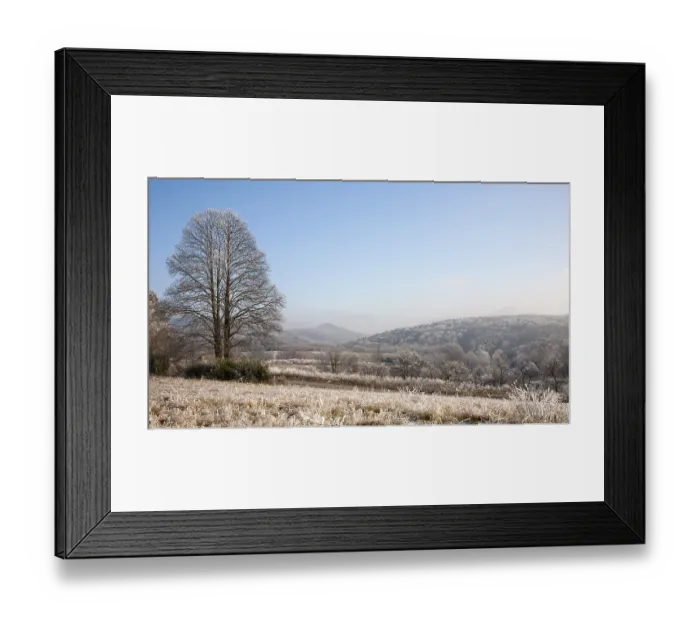 Framed Print : A winter day in the Palatinate Forest Framed Print : A winter day in the Palatinate Forest