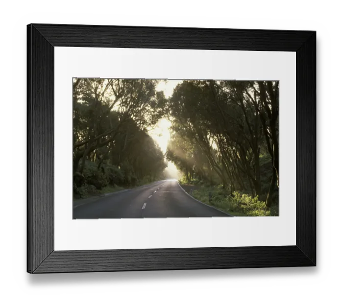 Framed Print : Street, laurel forest, El Hierro