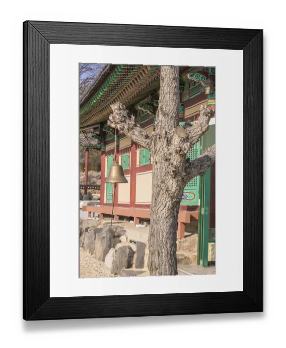 Framed Print : Bronze bell hanging from a tree next to a colorful prayer building at a Buddhist temple in South Korea Framed Print : Bronze bell hanging from a tree next to a colorful prayer building at a Buddhist temple in South Korea