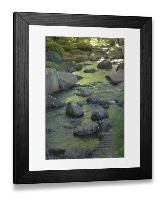 Framed Print : Reflections on stream in Japanese Garden Framed Print : Reflections on stream in Japanese Garden