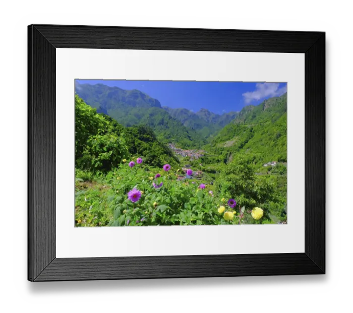 Framed Print : Mountain range, Urzal village, Dahlias
