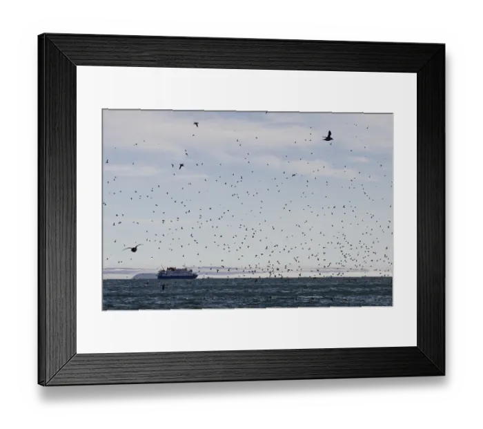 Framed Print : Expedition cruise ship, MS Quest