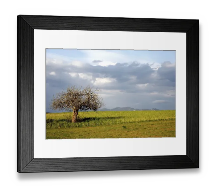 Framed Print : AbendLicht