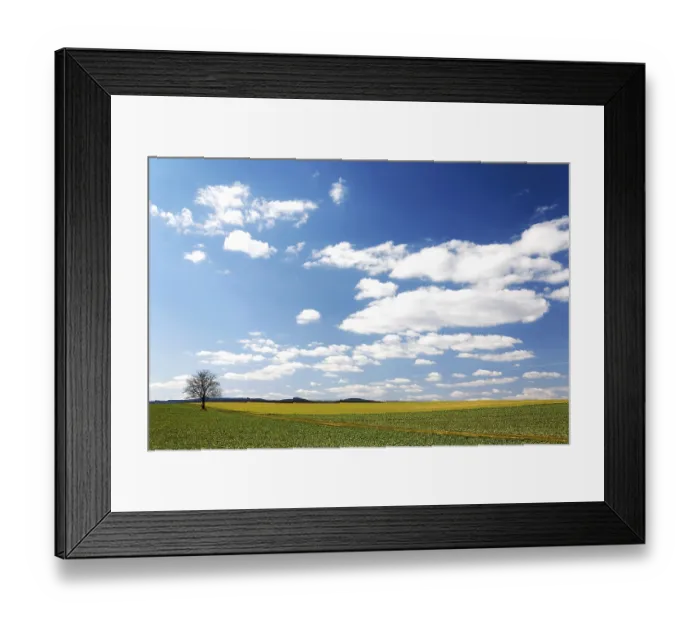 Framed Print : Landscape with tree