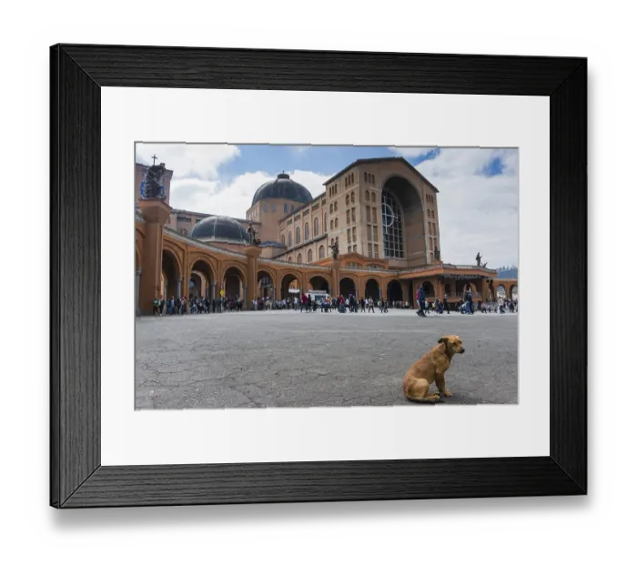 Framed Print : Dog at Basilica Santuario Nacional Nossa Senhora Aparecida