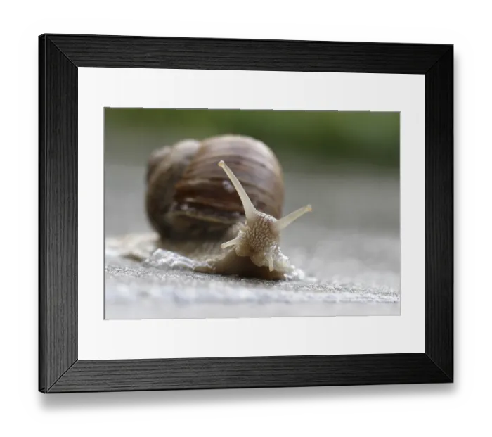 Framed Print : Which way to go