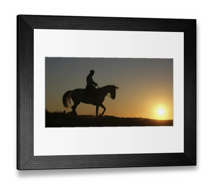 Framed Print : Man on his Camargue Horse at Sunrise Framed Print : Man on his Camargue Horse at Sunrise