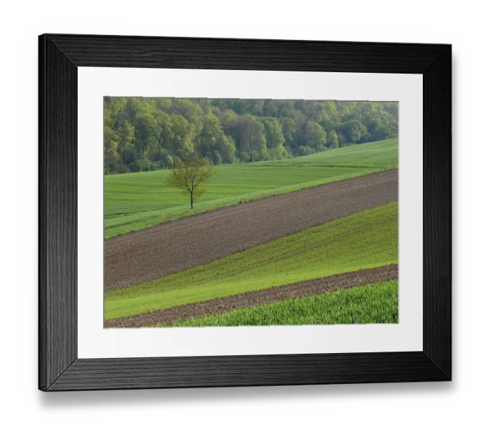 Framed Print : Field landscape in Kraichgau, Baden-Wurttemberg
