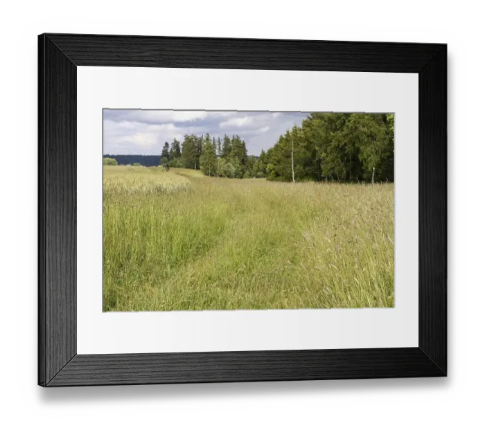 Framed Print : Meadow path