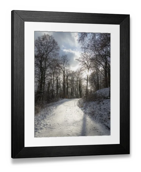 Framed Print : Snowy trees in an oak forest in Burgenland