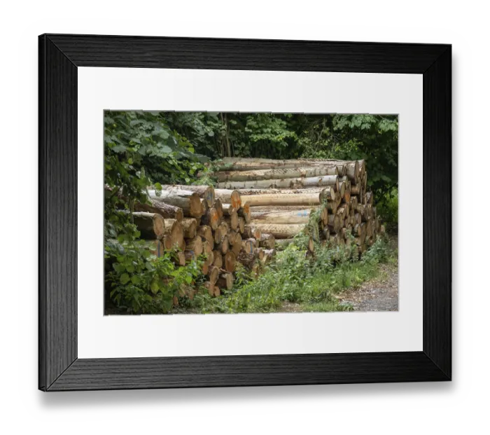 Framed Print : Many stacked logs are waiting to be transported out of the forest