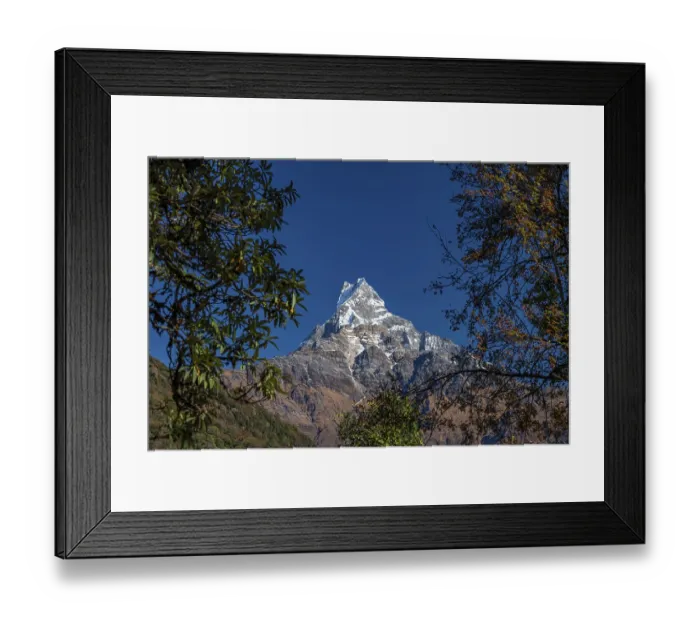 Framed Print : Machapuchare, Himalaya, fish tail Framed Print : Machapuchare, Himalaya, fish tail