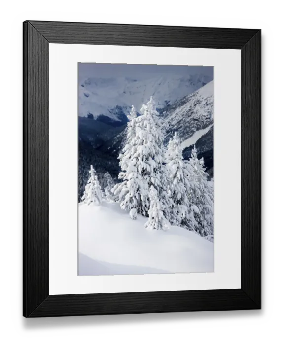 Framed Print : Winter landscape, Ofen Pass, Swiss National Park