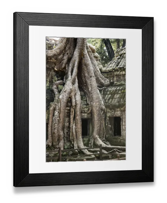 Framed Print : The famous Ta Prohm temple in Angkor Wat, Cambodia