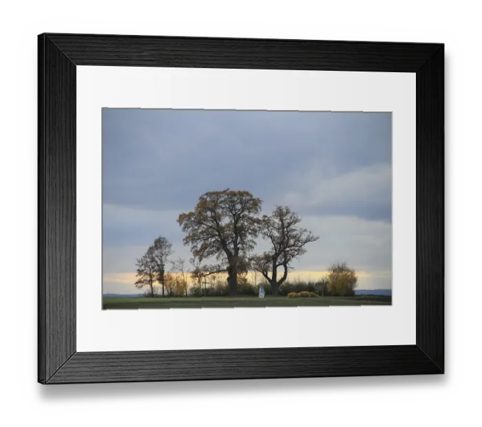 Framed Print : Group of trees in autumn, memorial plaque and cross Framed Print : Group of trees in autumn, memorial plaque and cross