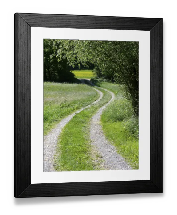 Framed Print : Forest with meadow, forest path in spring near Maulbronn Framed Print : Forest with meadow, forest path in spring near Maulbronn