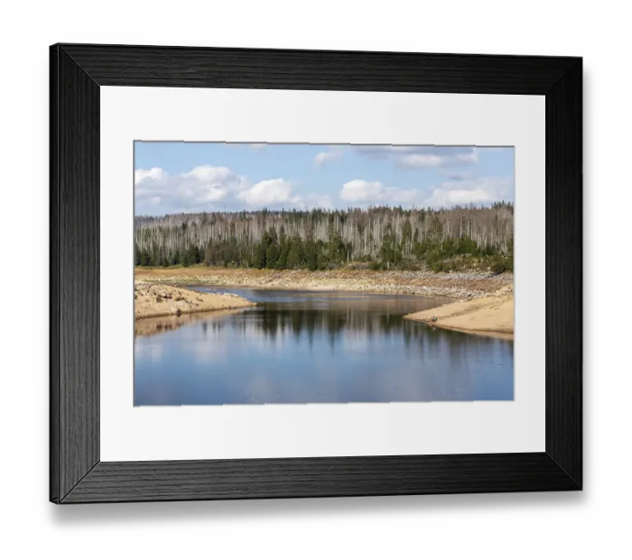 Framed Print : Oderteich dam, dead trees, Harz National Park