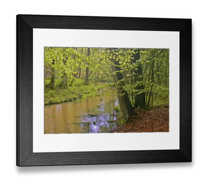 Framed Print : Creek Furlbach, Stukenbrock-Senne Framed Print : Creek Furlbach, Stukenbrock-Senne